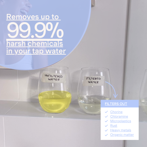 Lushi Filter™ Refill Filter