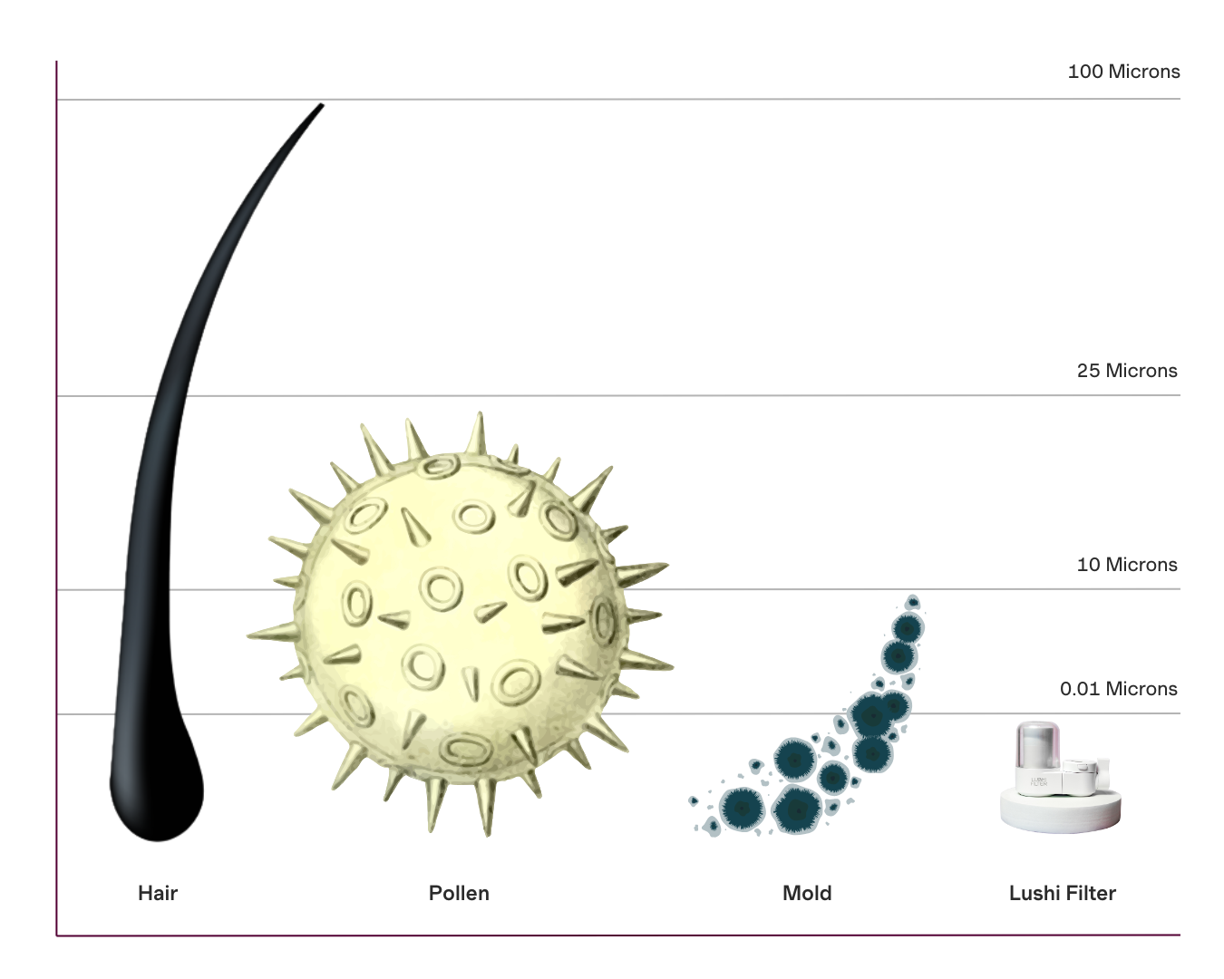 What A Lushi Filter Tap Water Filter Filters Out. Picture showing the small size of irritants removed